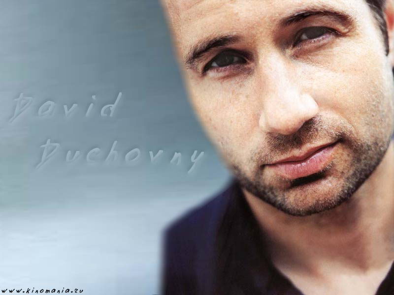  _David Duchovny___Foto-wallpapers    _     _David Duchovny