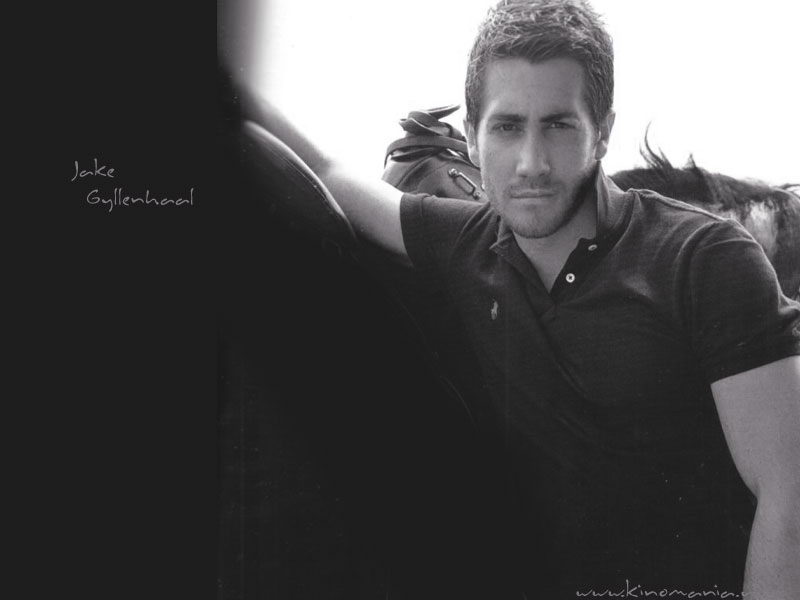  _Jake Gyllenhaal___Foto-wallpapers    _PlayBoyz wallpapers   _Jake Gyllenhaal