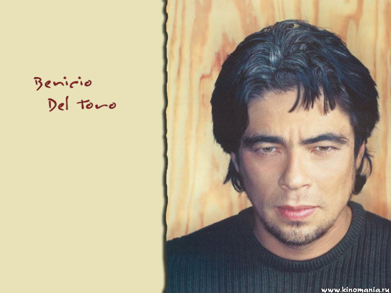   _Benicio Del Toro___Foto-wallpapers    _       _Benicio Del Toro