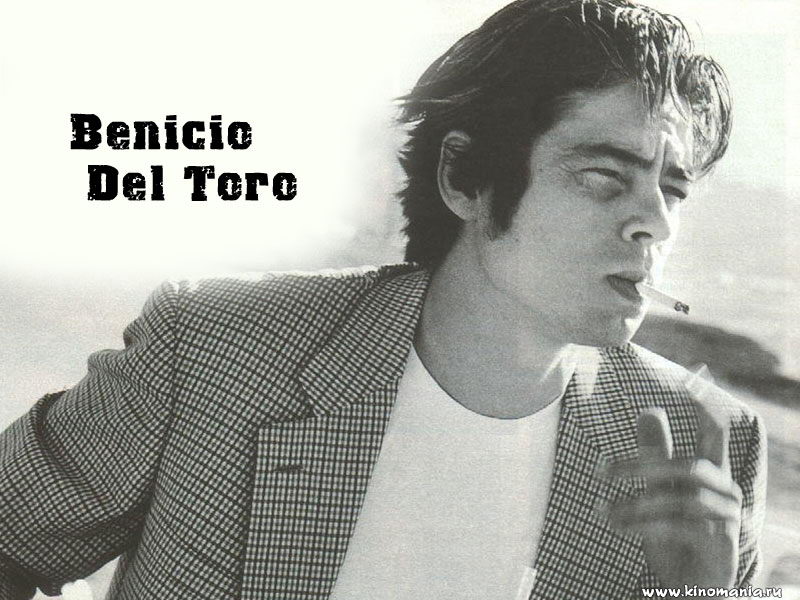   _Benicio Del Toro___Foto-wallpapers    _PlayBoyz wallpapers    _Benicio Del Toro