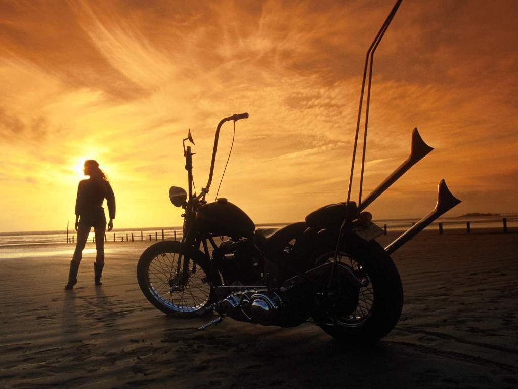   _Harley Davidson___Foto-Wallpapers.Ru - -   _    _Harley Davidson